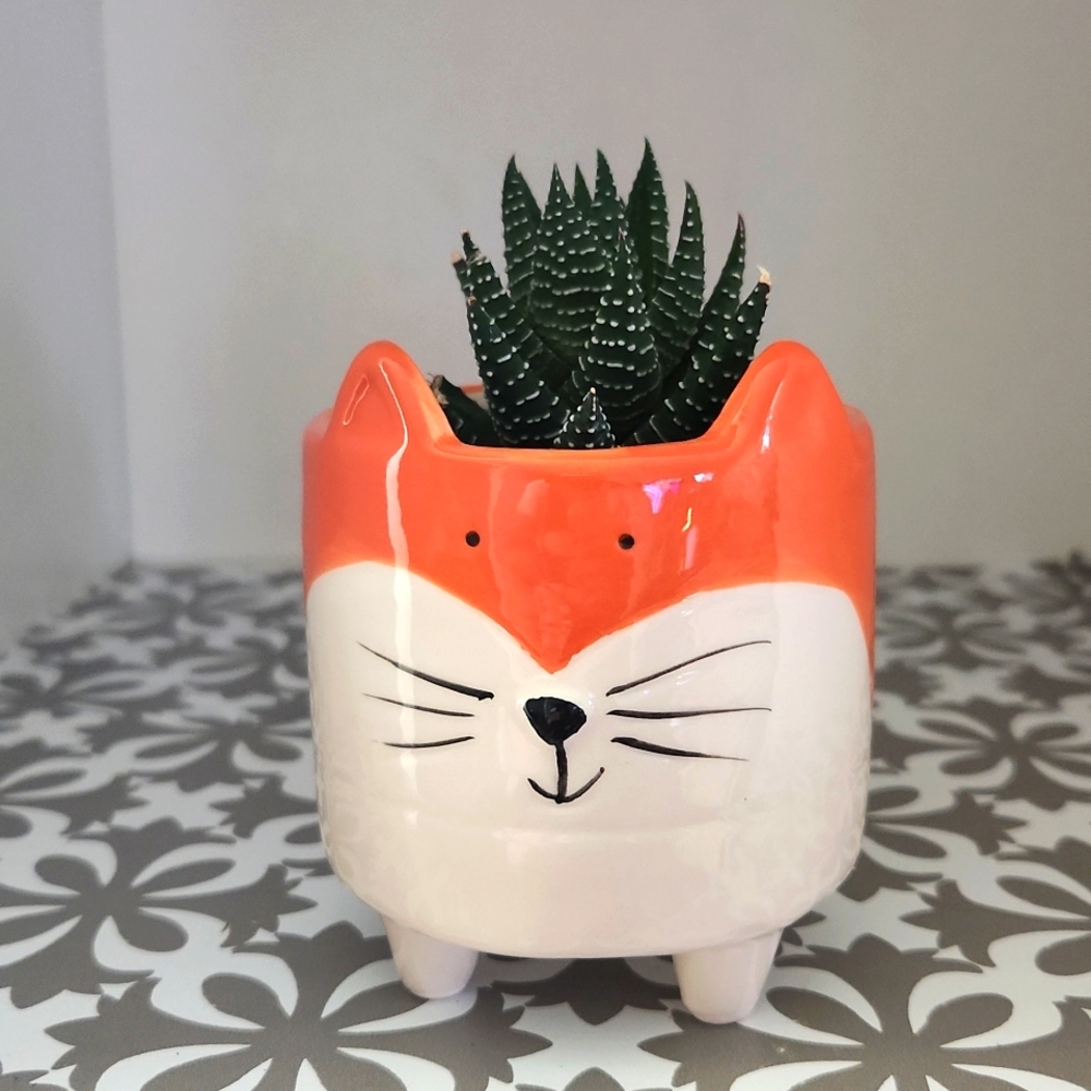 Ceramic pot